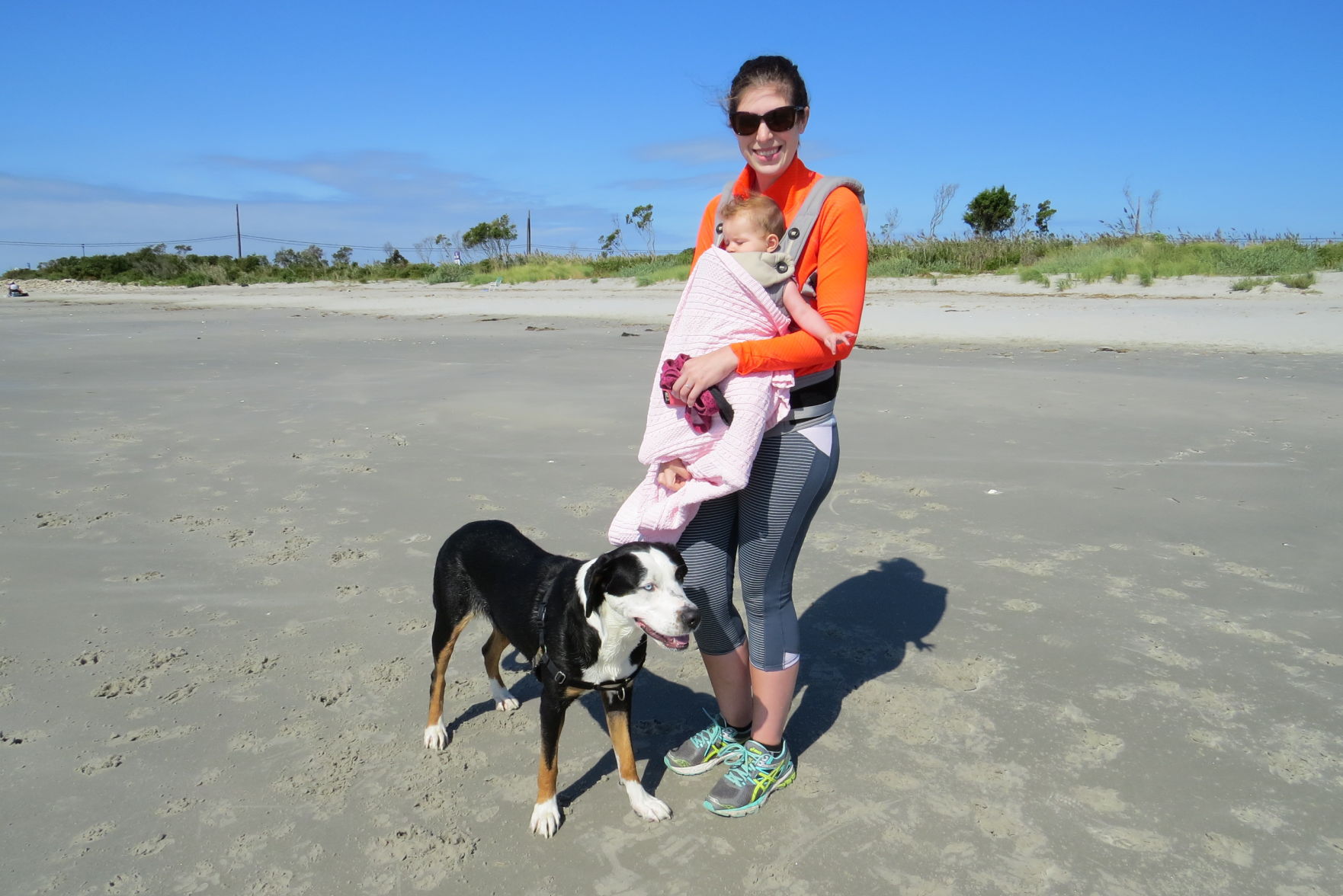 100816_urg_cdb_dogbeach (11).JPG